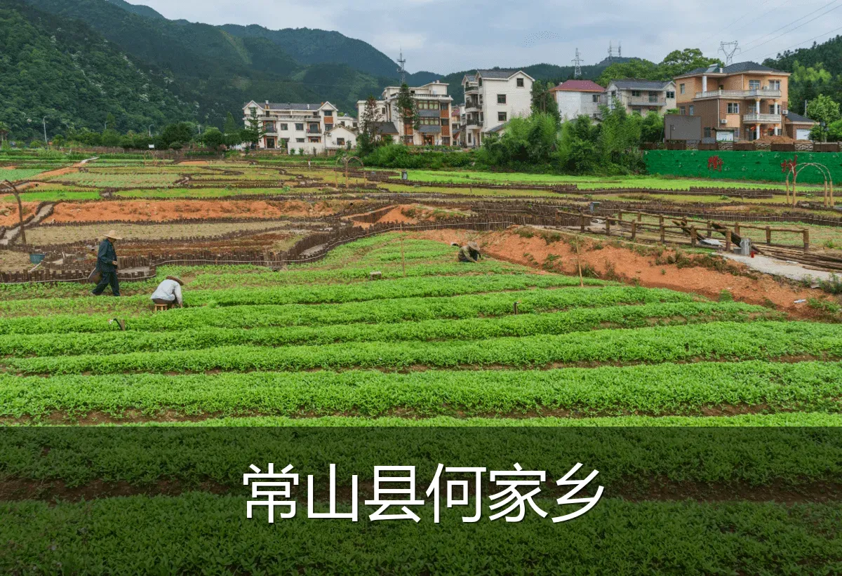 常山县何家乡