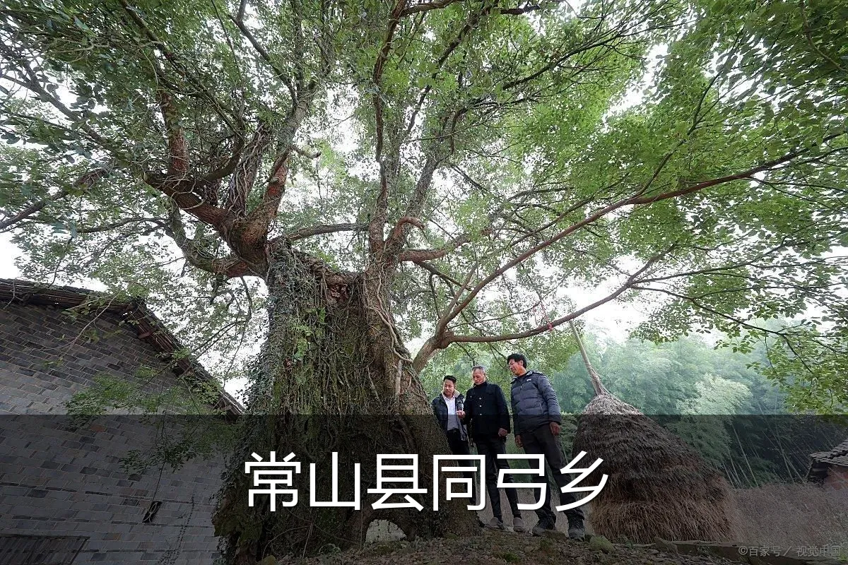 常山县同弓乡
